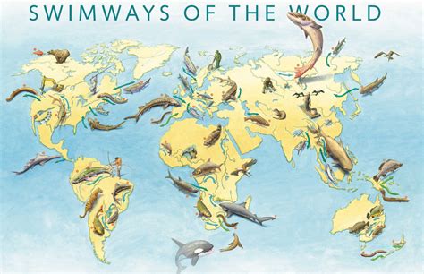 Exploring Fish Migration: Crossing Oceans And Seas.